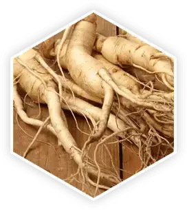 Panax Ginseng in ProstaVive